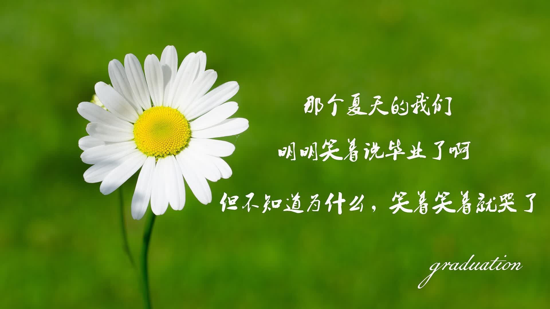 汽车配件店铺起名大全免费（大汽车配件店名热门推荐大全）